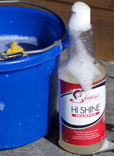 Shapley's Hi-Shine Shampoo - Nags Essentials