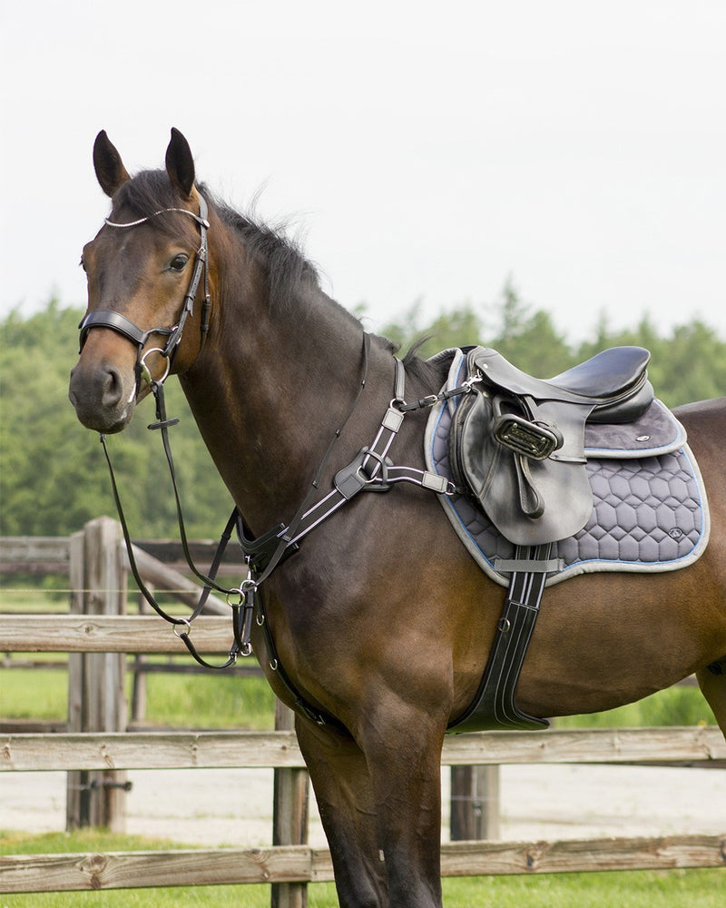 Breastplate Sedna - Nags Essentials