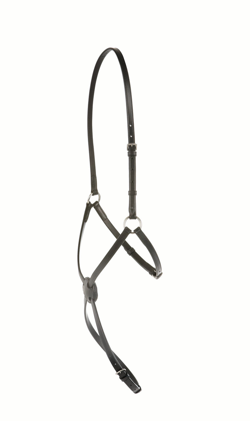 Kincade Grackle Noseband - Nags Essentials