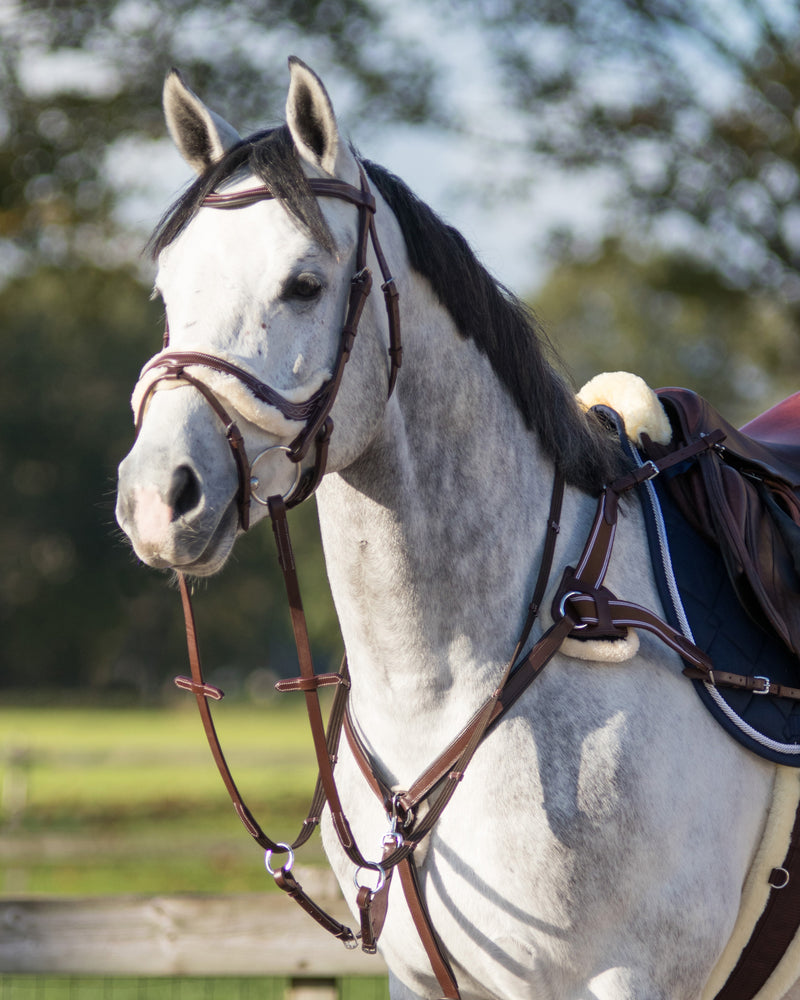 Ontario Breastplate - Nags Essentials