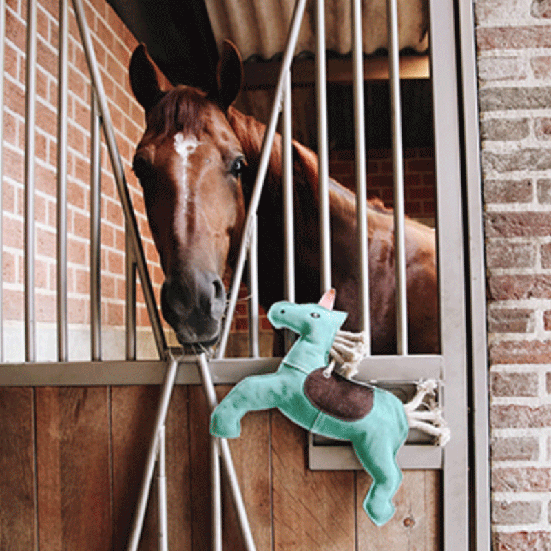 Kentucky Horsewear Horse Relax Toys - Nags Essentials