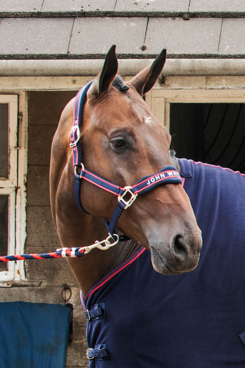 John Whitaker Airflow Headcollar and Leadrope Set - Nags Essentials