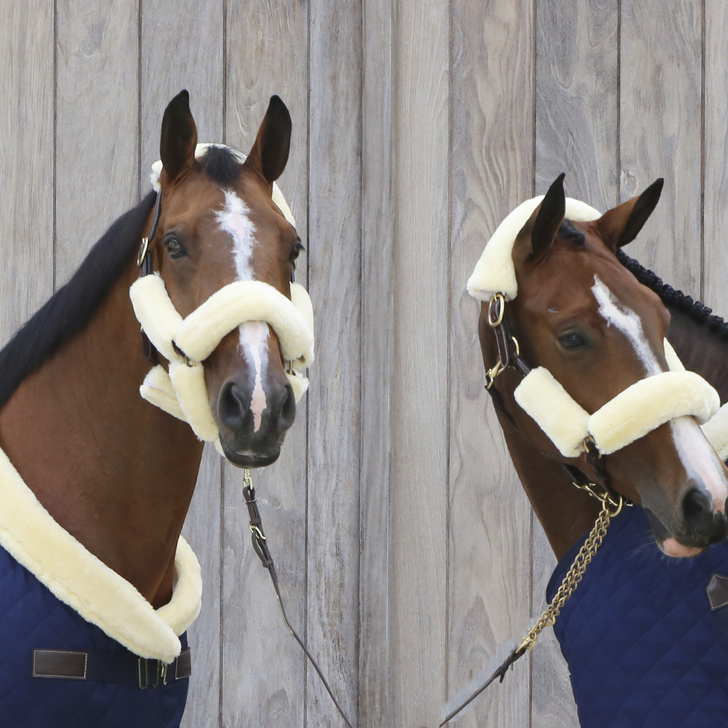 Kentucky Sheepskin Halter- Set of 4