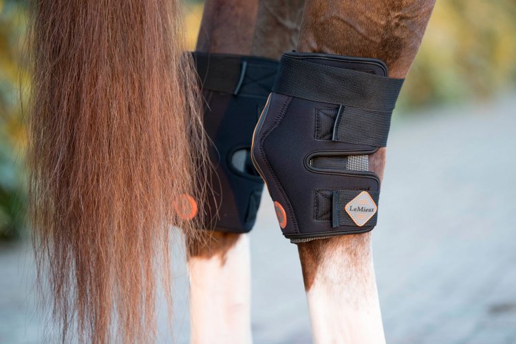 LeMieux Magno Conductive Hock  Boots - Nags Essentials