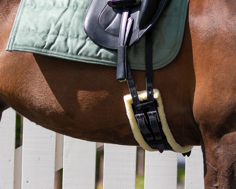 Ontario Dressage Girth - Nags Essentials