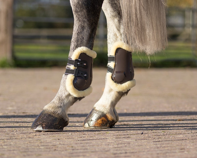 Ontario Fetlock Boots - Nags Essentials