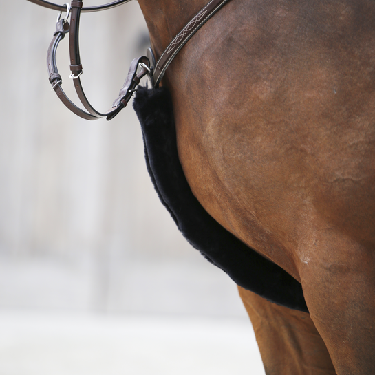 Kentucky Sheepskin Breastplate Cover