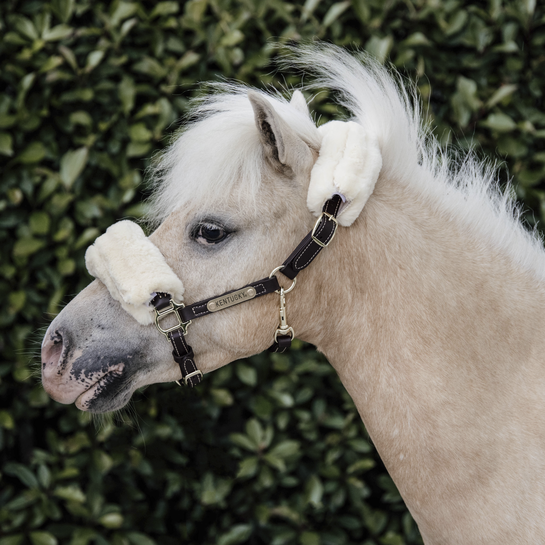 Kentucky Leather Halter Sheepskin