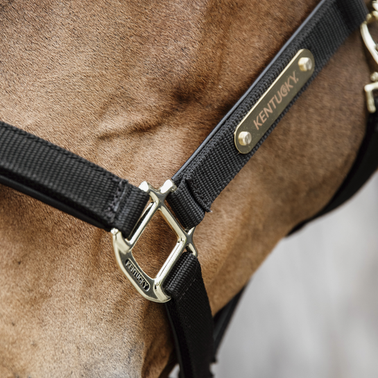 Kentucky Anatomic Nylon Headcollar Black