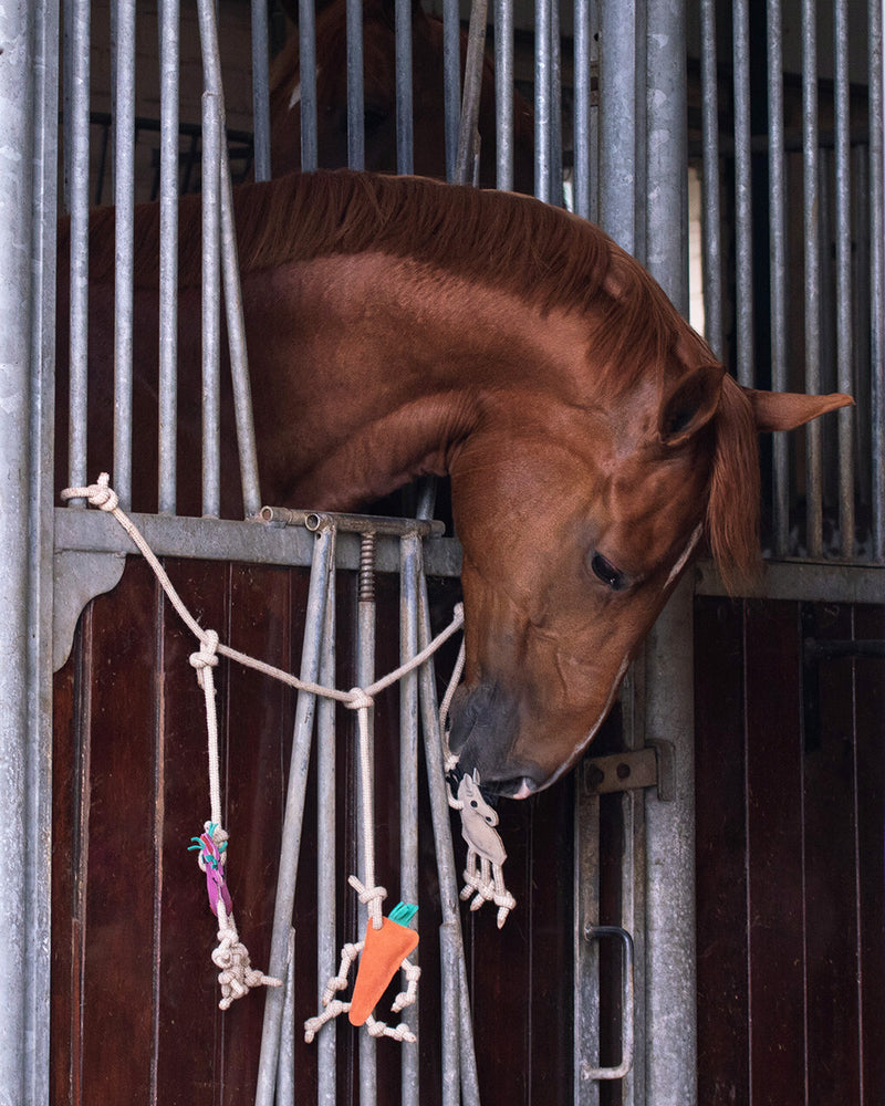 Horse toy box hanger