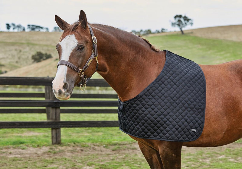 Weatherbeeta Deluxe Shoulder Guard - Nags Essentials