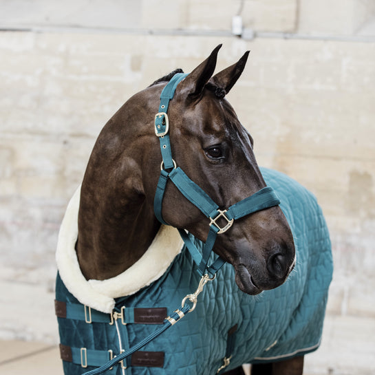 Kentucky Velvet Show Rug Emerald