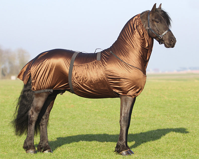Eczema Rug Shire / Extra Large Horses - Nags Essentials