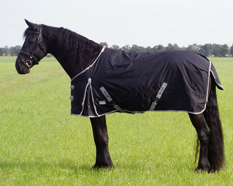 Turnout Rug  XL / Heavy Horse 300g - Nags Essentials