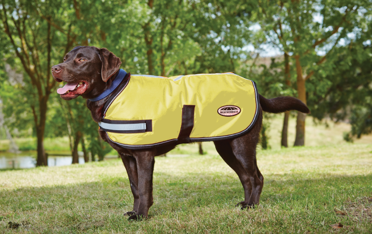 Weatherbeeta Reflective Parka 300D Dog Coat - Nags Essentials