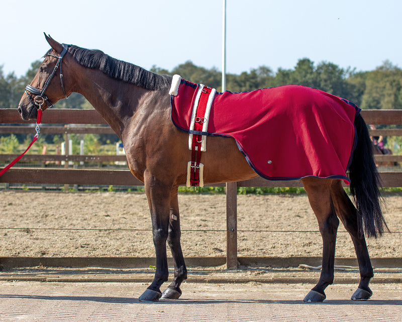Lunging rug Florence - Nags Essentials