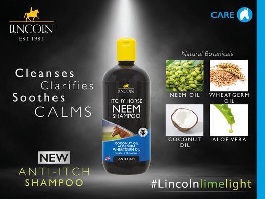 Lincoln Itchy Horse Neem Shampoo - Nags Essentials