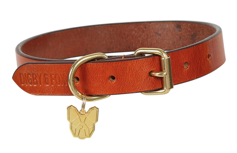 Digby & Fox Flat Leather Dog Collar - Nags Essentials