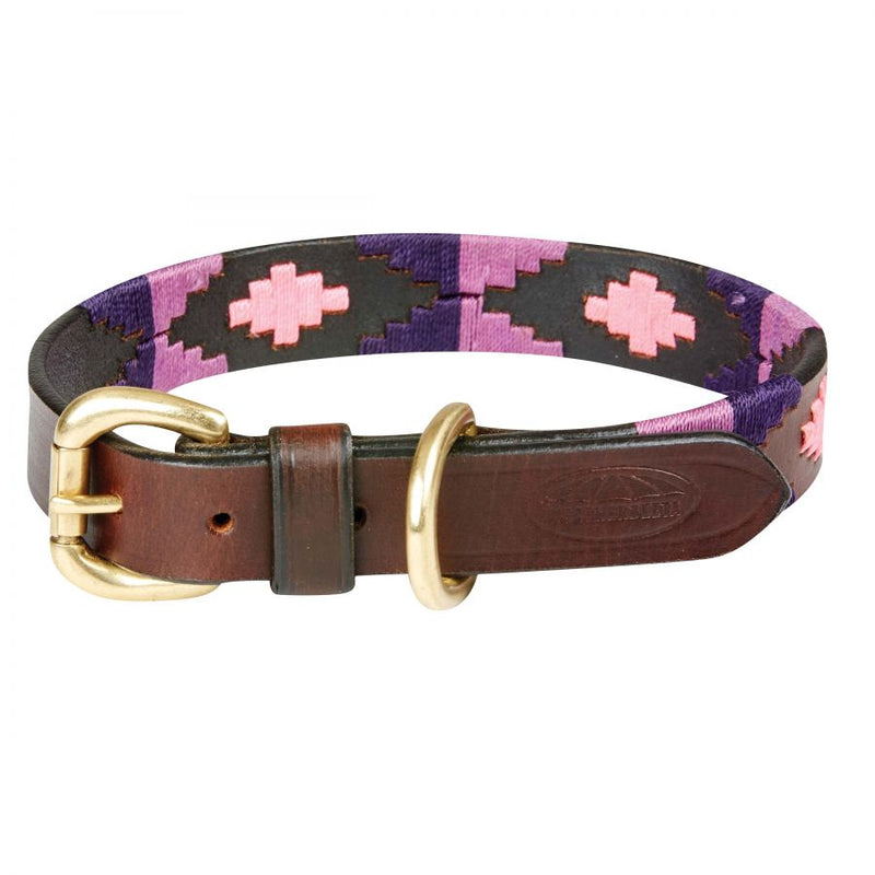 Weatherbeeta Polo Dog Collar