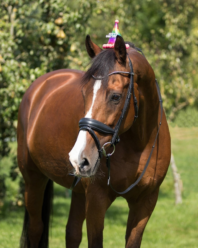 Birthday Hat Horse - Nags Essentials