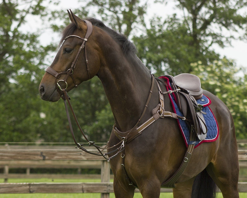 Sedna Bridle Shaped Anatomic - Nags Essentials