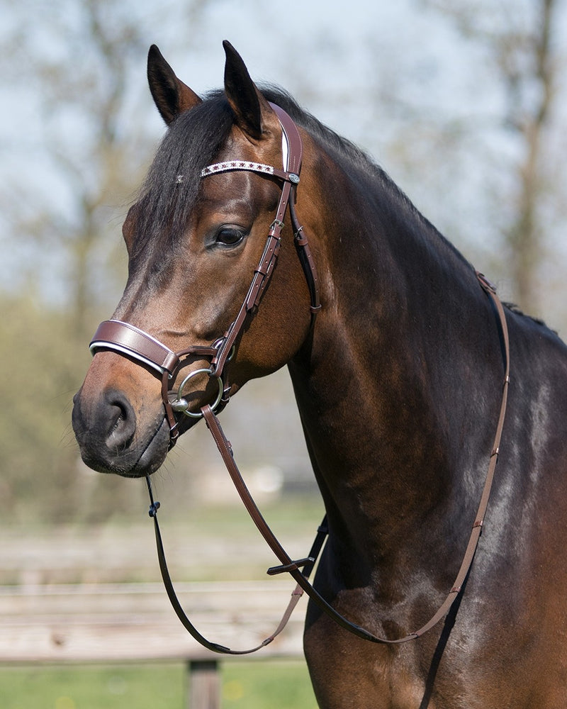 Ostara Bridle - Nags Essentials