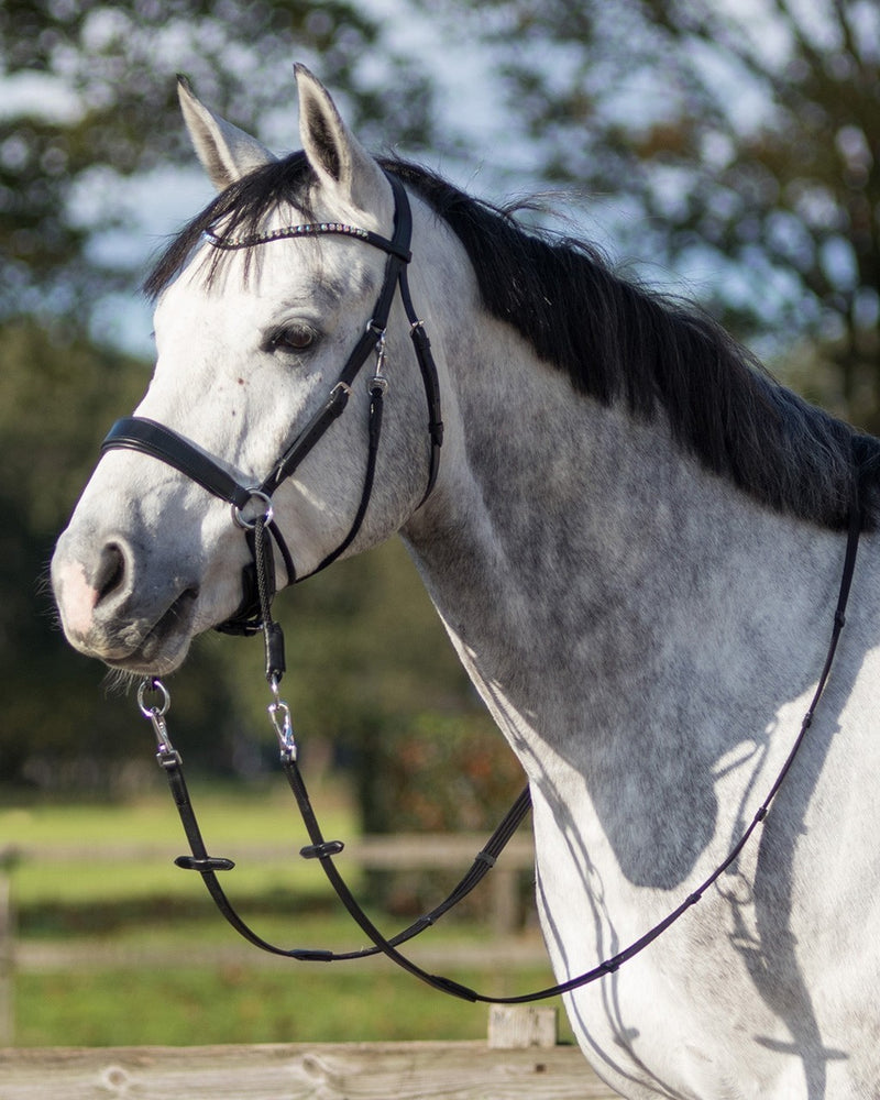 Sunna Multifunctional Bitless Bridle - Nags Essentials