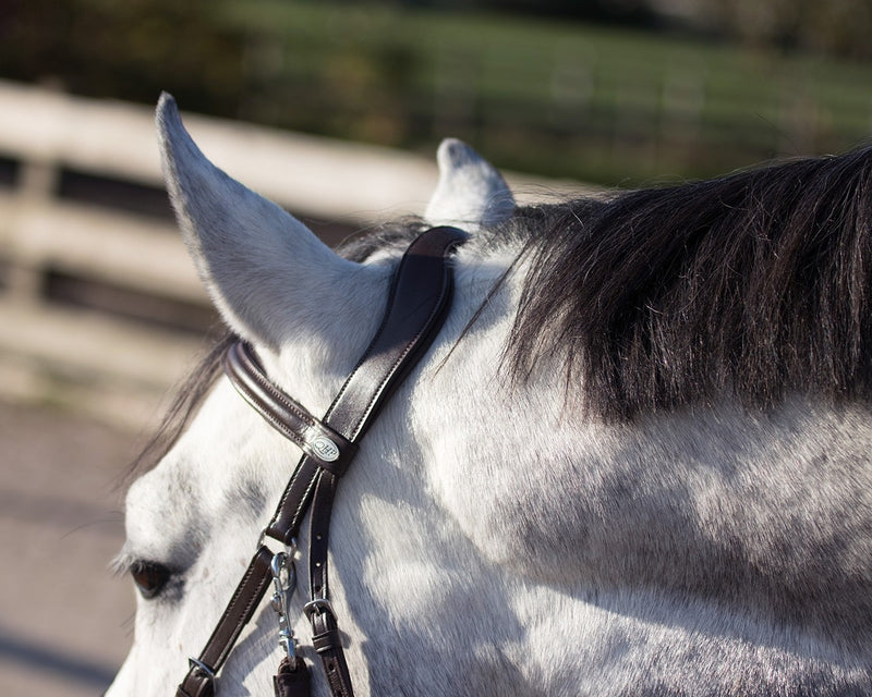 Sunna Multifunctional Bitless Bridle - Nags Essentials