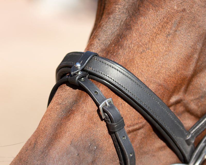 Training Bridle with clips - Nags Essentials
