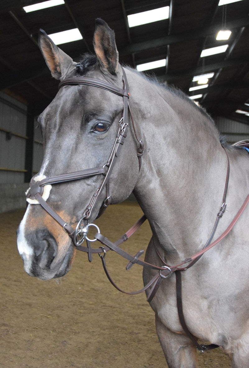 John Whitaker Ready To Ride Martingale - Nags Essentials