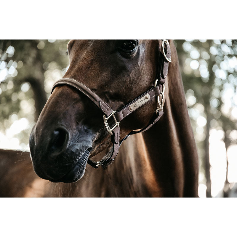 Kentucky Anatomic Suede Head Collar