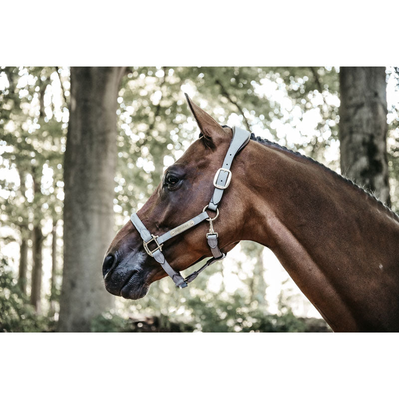 Kentucky Anatomic Suede Head Collar