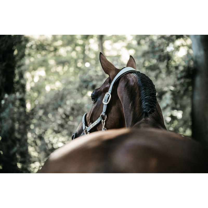 Kentucky Anatomic Suede Head Collar