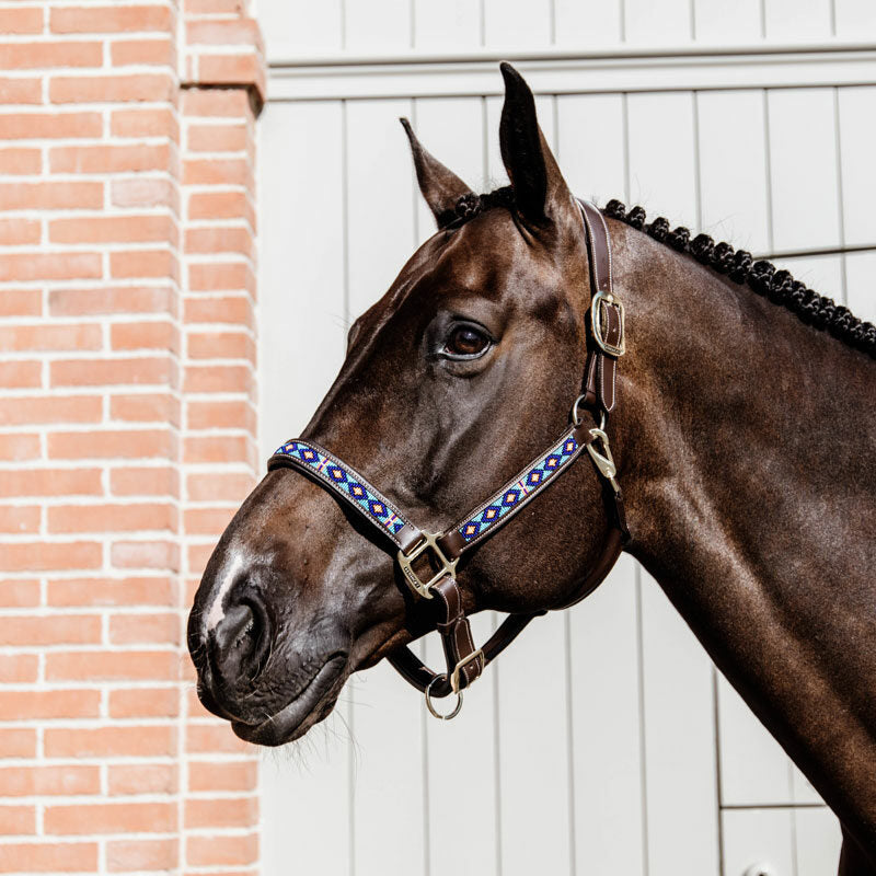 Kentucky Pearls Head Collar