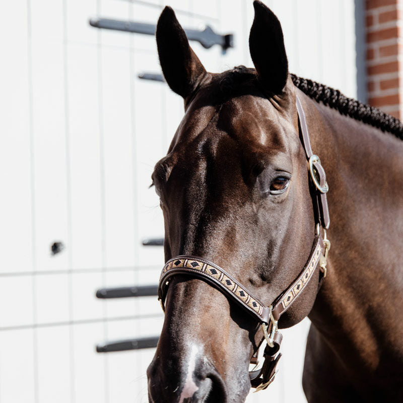 Kentucky Pearls Head Collar