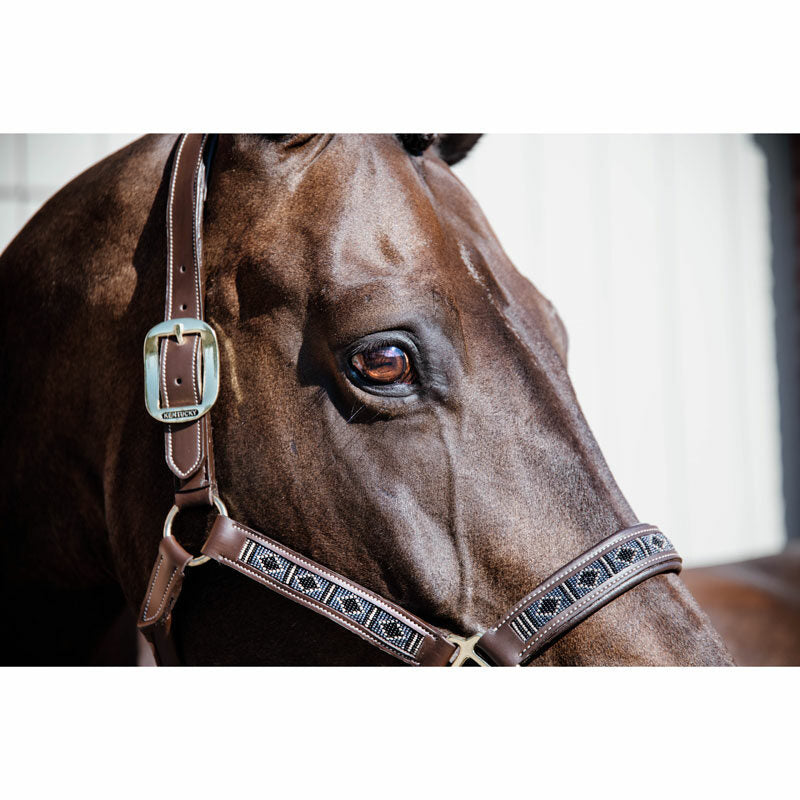 Kentucky Pearls Head Collar