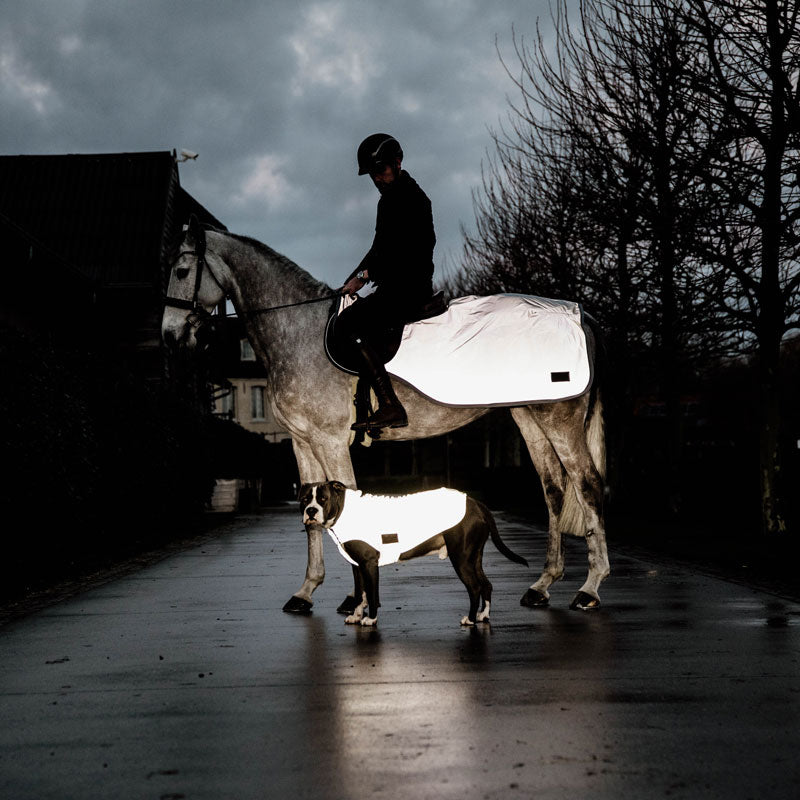 Kentucky Reflective Riding Rug