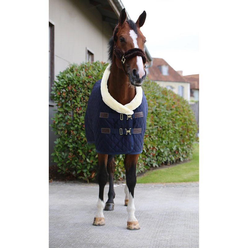 Kentucky Horsewear Show Rug – Navy - Nags Essentials