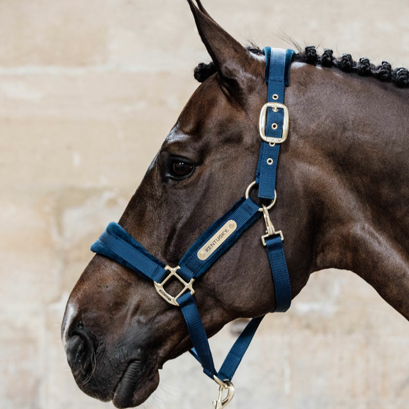 Kentucky Velvet Head Collar