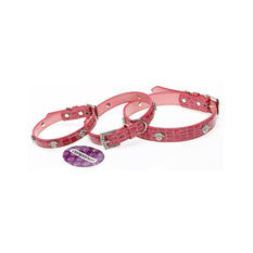 Companion Diamante Paw Print Dog Collar - Nags Essentials