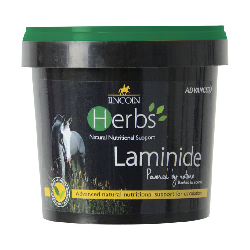 Lincoln Herbs Laminade