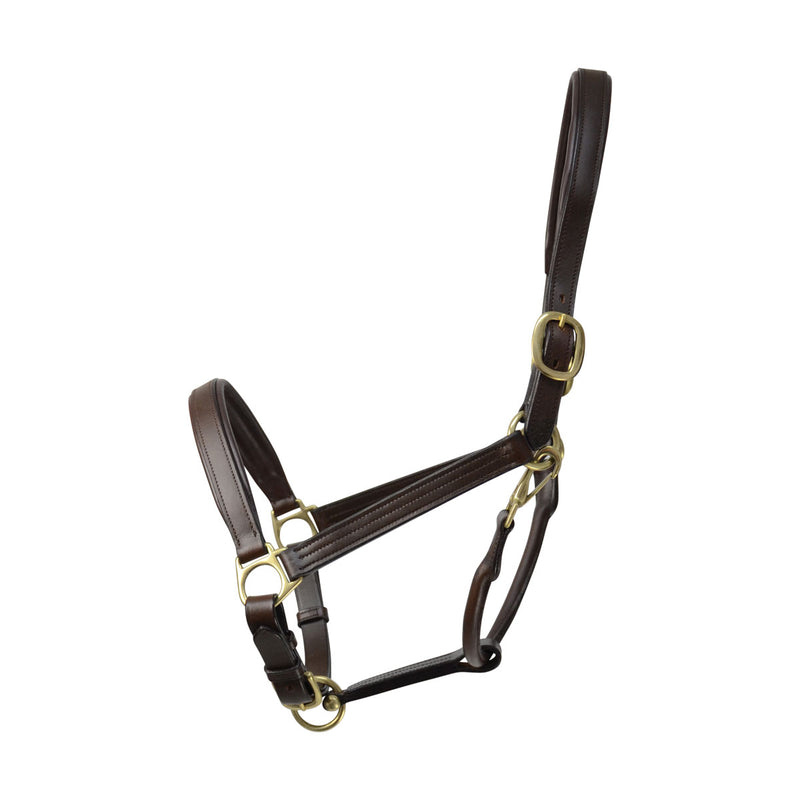 Coldstream Leather Padded Headcollar - Nags Essentials