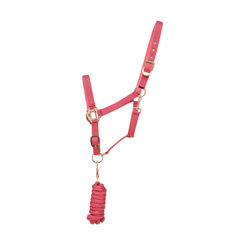 Hy Rose Gold Headcollar and Lead Rope - Nags Essentials