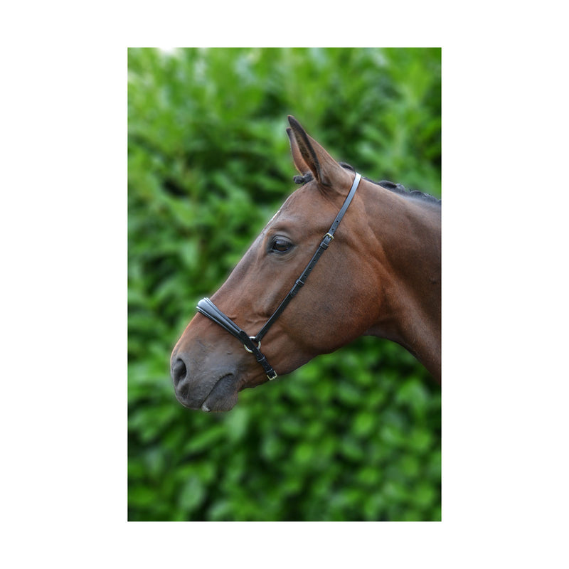 Hy Padded Drop Nose Band - Nags Essentials