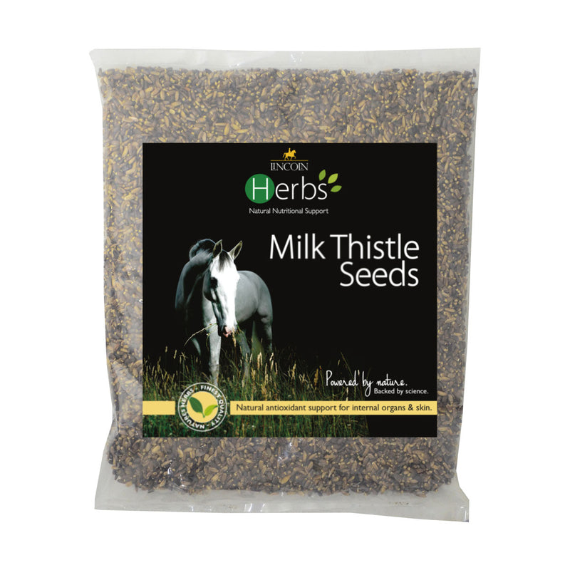 Lincoln Herbs Milk Thistle Seeds - Nags Essentials