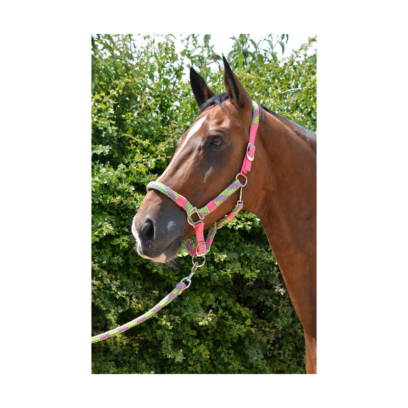 Hy Multicolour Adjustable Head Collar with Rope - Nags Essentials