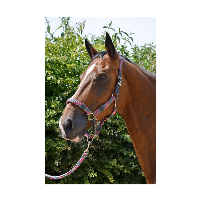 Hy Multicolour Adjustable Head Collar with Rope - Nags Essentials