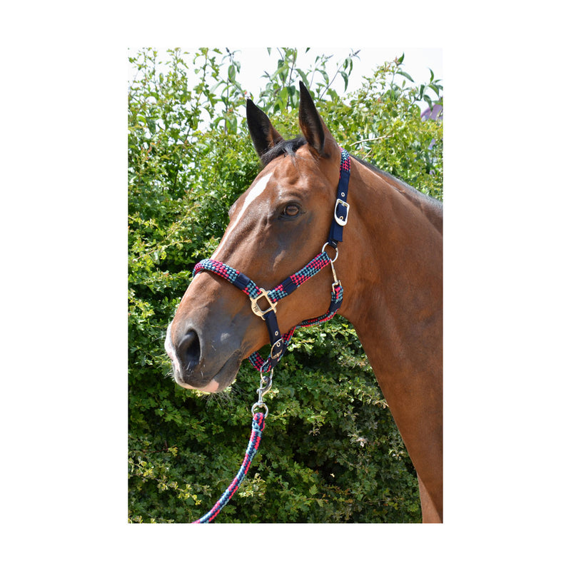 Hy Multicolour Adjustable Head Collar with Rope - Nags Essentials