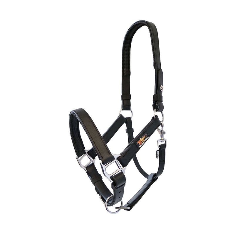 Equilibrium Stellar Head Collar - Nags Essentials