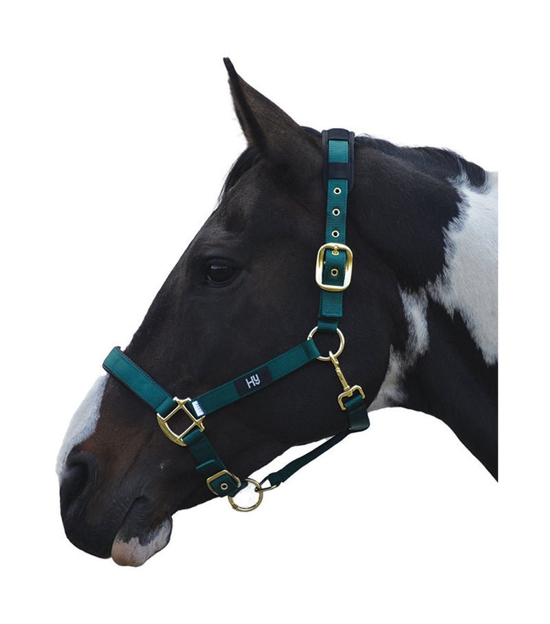 Hy Deluxe Padded Head Collar - Nags Essentials